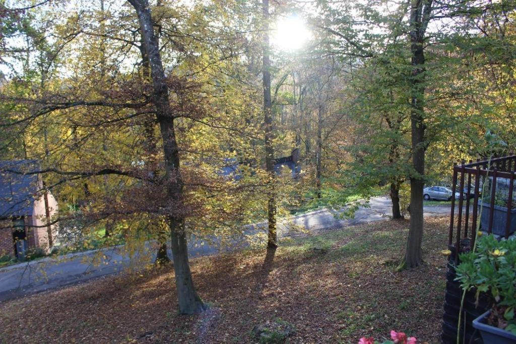 Chalet Gezellige Met Groot Zonneterras In Domaine Du Bonsoy - Vernieuwd In 2024 *
